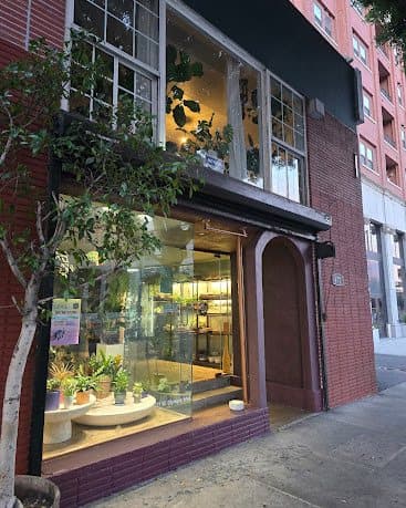 Nysa Botanica storefront exterior with greenery